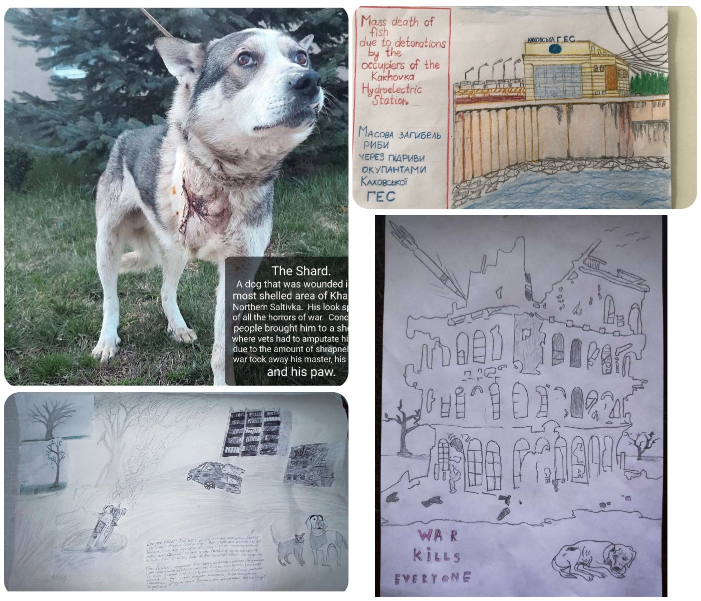 MyCollages (4).jpg